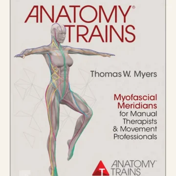 Anatomy Trains Myofascial Meridians for Manual Therapists and Movement Professionals — BQ MAG cover